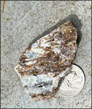 Shimmery 240ct Russian ASTROPHYLLITE Specimen - Release unhealthy patterns