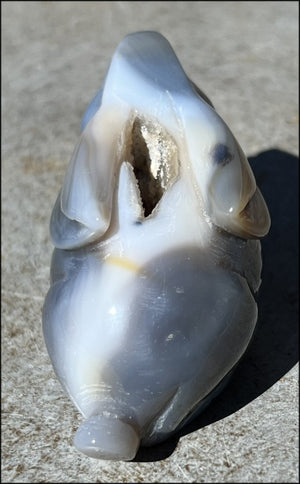 4" Dendritic Agate BUNNY RABBIT Totem with Awesome Druzy Lined VUG