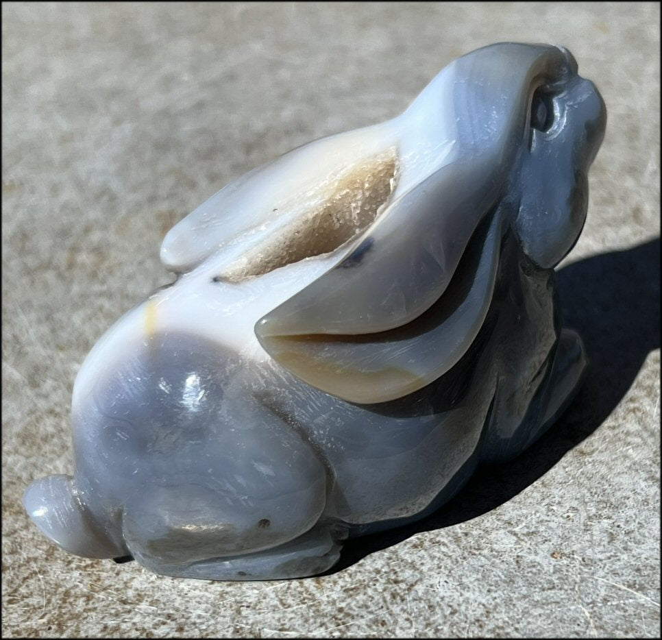 4" Dendritic Agate BUNNY RABBIT Totem with Awesome Druzy Lined VUG