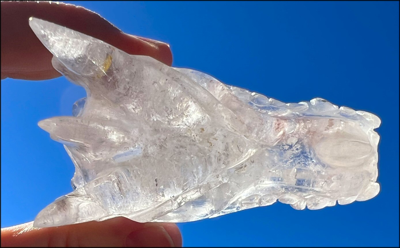 Quartz Dragon Crystal Skull with Bi-Colored Hematite inclusions - Focus, Transformation