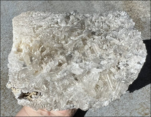 Quartz Crystal + Limestone METAMORPHOSIS Crystal Skull with Fantastic Sparkly Crystal Points