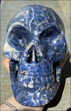 ~Super Sale~ LifeSize SODALITE Crystal Skull - Connect Head+Heart, Be present in the moment