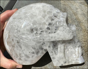 ~Super Sale~ LifeSize AGATE GEODE Crystal Skull with Iron Dendrite "Blossoms", Amazing crystalline structures - just under 9lbs
