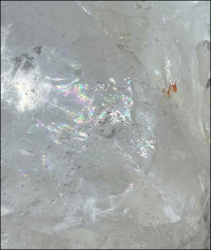 ~Super Sale~ LifeSize Himalayan Quartz Crystal Skull with Multi-Colored Hematite