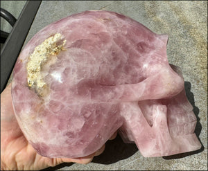 ~Super Sale~ LifeSize Brazilian ROSE QUARTZ Crystal Skull with Hematite inclusions