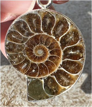 Sterling Silver and AMMONITE Fossil Pendant - Stability, Good for deep meditation! - with Synergy 9+ years