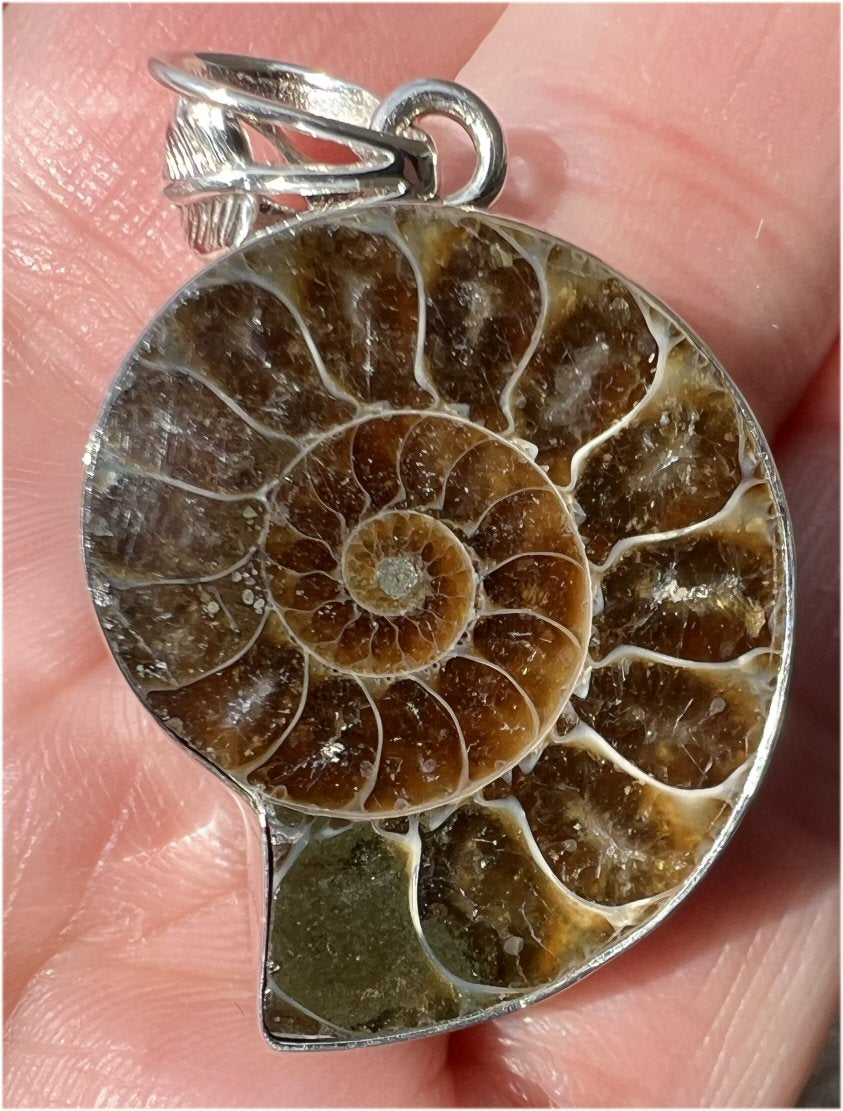 Sterling Silver and AMMONITE Fossil Pendant - Stability, Good for deep meditation! - with Synergy 9+ years