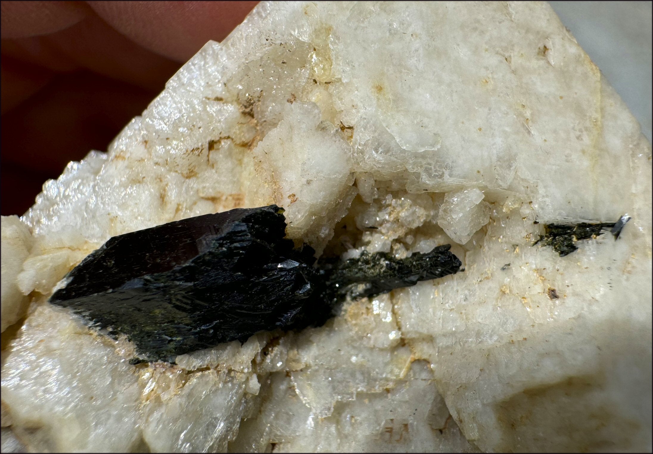 Aegirine Crystal Specimen on Microline Matrix - Grounding, Root Chakra