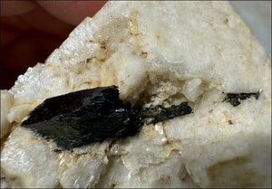 Aegirine Crystal Specimen on Microline Matrix - Grounding, Root Chakra