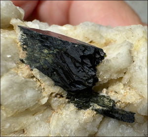 Aegirine Crystal Specimen on Microline Matrix - Grounding, Root Chakra