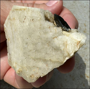 Aegirine Crystal Specimen on Microline Matrix - Grounding, Root Chakra