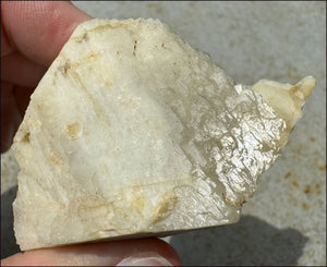 Aegirine Crystal Specimen on Microline Matrix - Grounding, Root Chakra