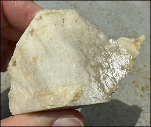 Aegirine Crystal Specimen on Microline Matrix - Grounding, Root Chakra