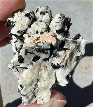 Aegirine Crystal Specimen on Microline Matrix - Grounding, Root Chakra