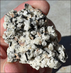 Aegirine Crystal Specimen on Microline Matrix - Grounding, Root Chakra