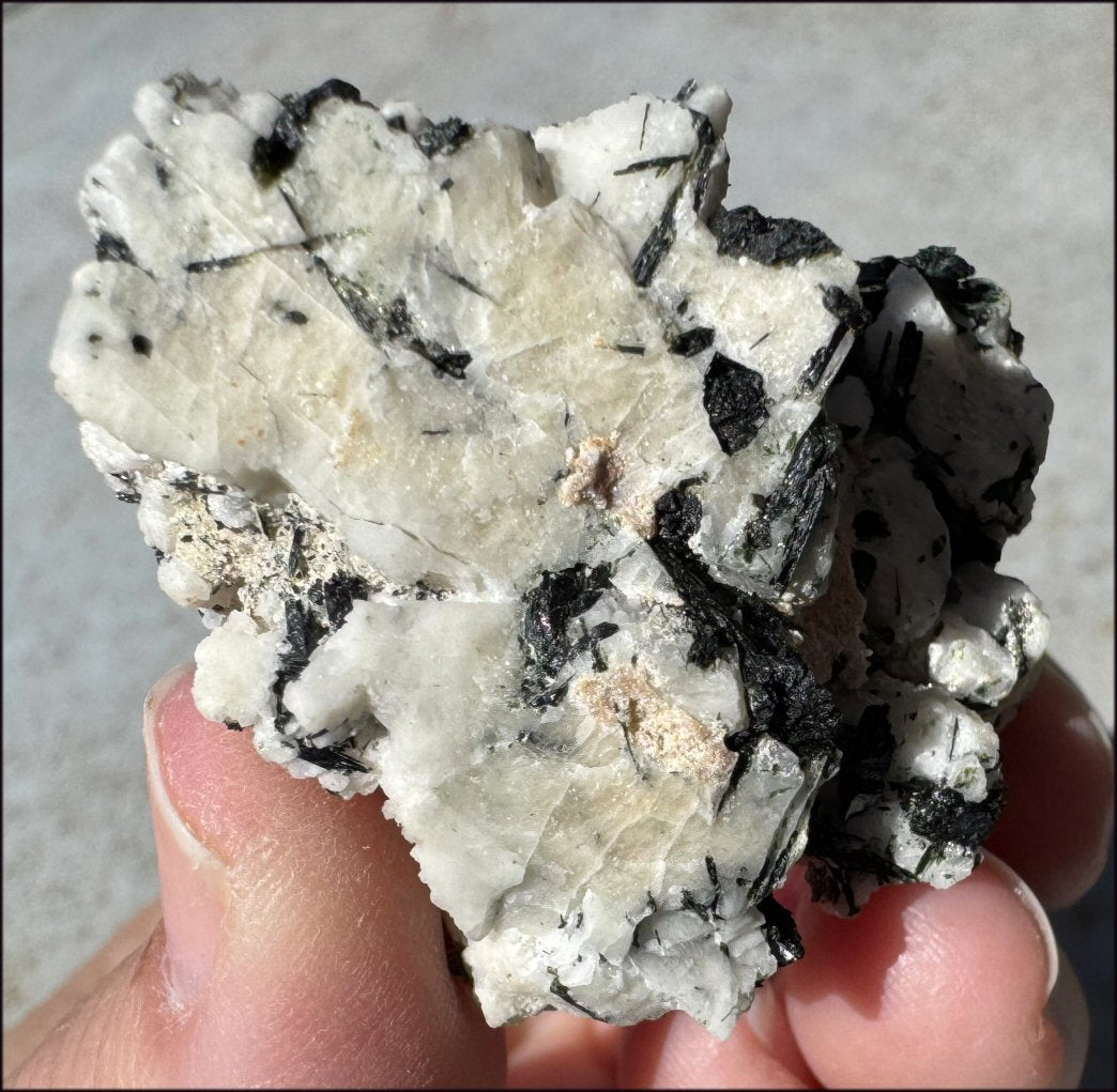Aegirine Crystal Specimen on Microline Matrix - Grounding, Root Chakra