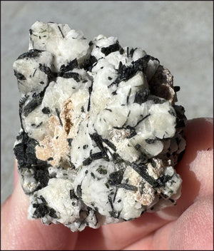 Aegirine Crystal Specimen on Microline Matrix - Grounding, Root Chakra