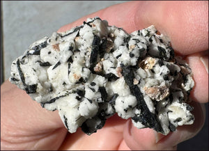 Aegirine Crystal Specimen on Microline Matrix - Grounding, Root Chakra