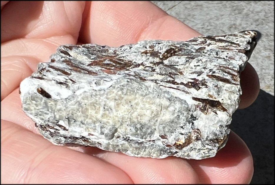 Shimmery 350ct Russian ASTROPHYLLITE Specimen - Release unhealthy patterns