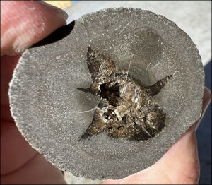 ~New~ French Septarian Nodule w/ Sparkly BARITE Crystal inclusions