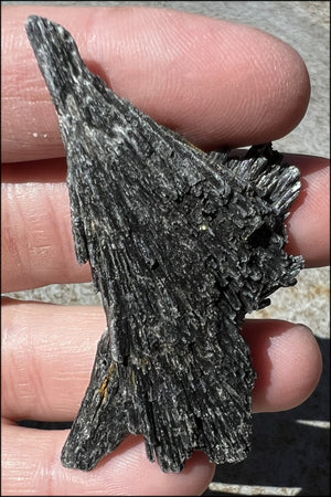 Natural Black Kyanite Double Fan Specimen - Align Chakras, Protection