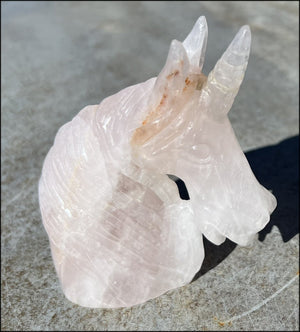 ~Amazing Details!~ Rose Quartz Crystal UNICORN Bust with Hematite - Needs Good Home