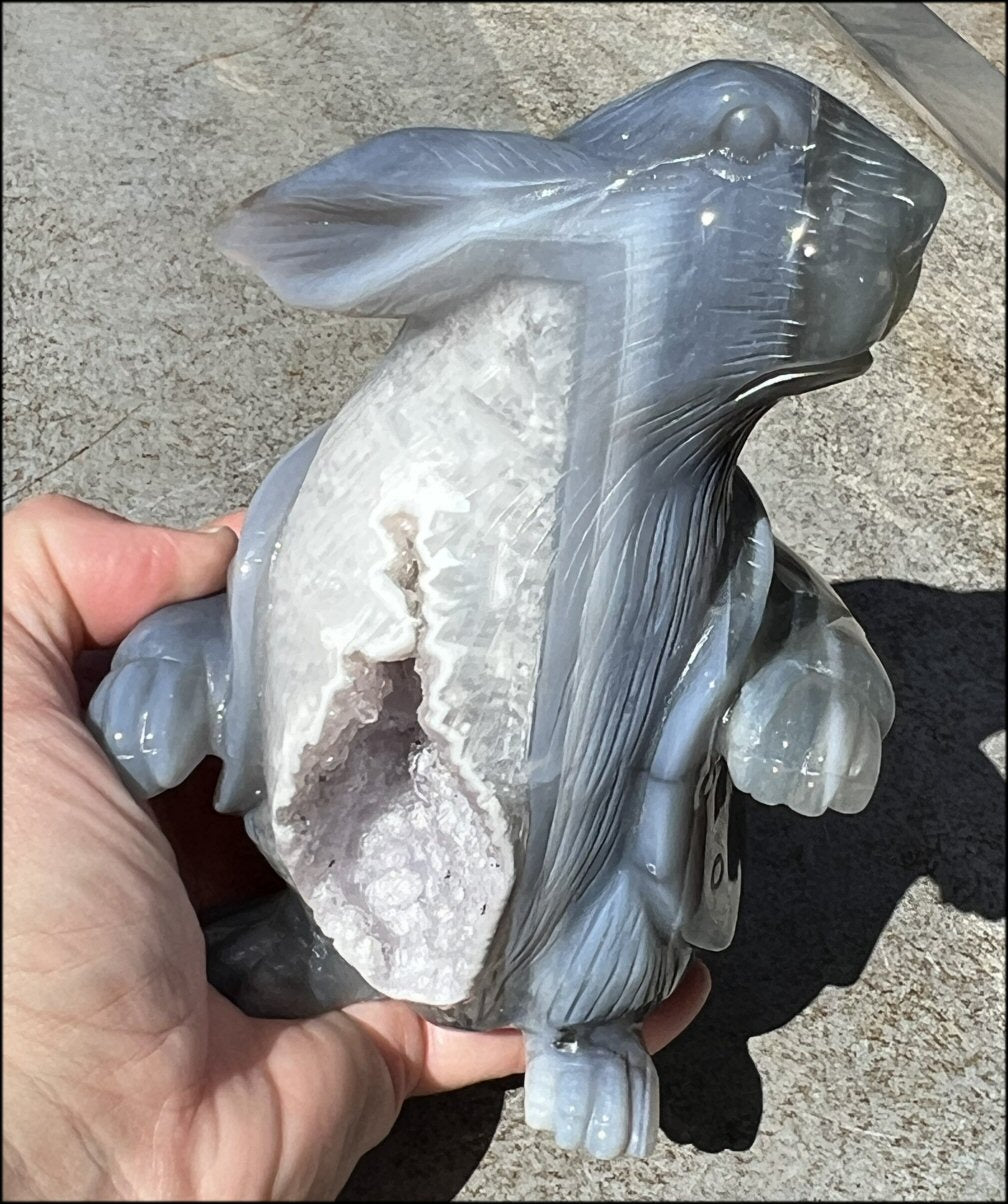 6" Agate RABBIT Totem with BIG Amethyst Lined VUG