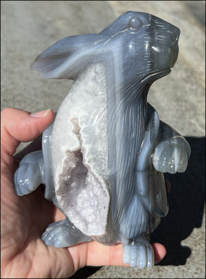 6" Agate RABBIT Totem with BIG Amethyst Lined VUG