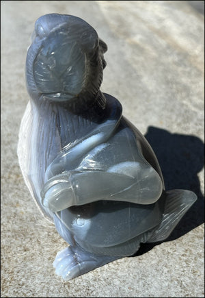 6" Agate RABBIT Totem with BIG Amethyst Lined VUG