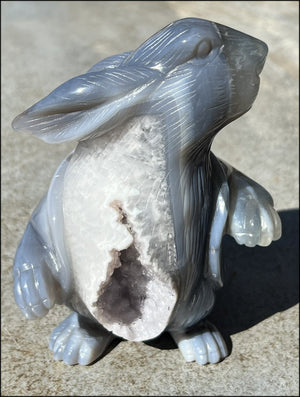 6" Agate RABBIT Totem with BIG Amethyst Lined VUG