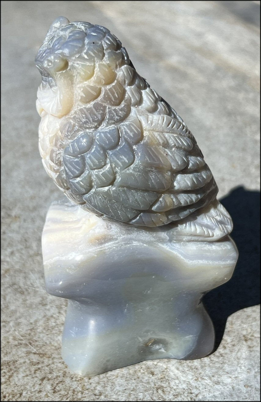 XL Agate OWL Totem with Lovely Banding - Inner Harmony, Wisdom