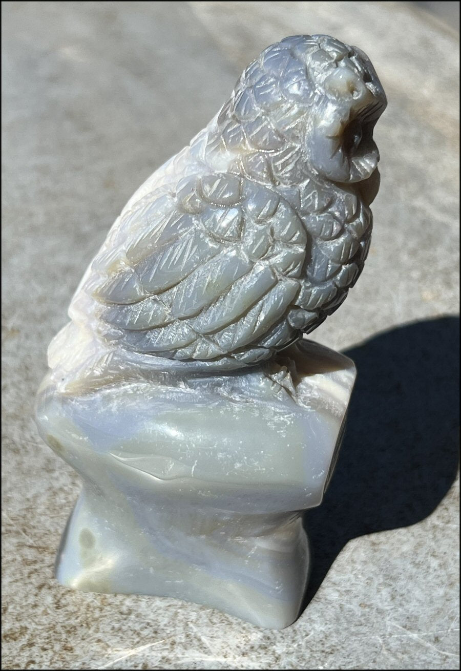 XL Agate OWL Totem with Lovely Banding - Inner Harmony, Wisdom