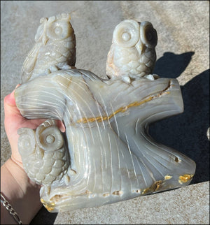 HUGE 7lbs+ Dendritic Agate OWL Family Carving with Moss Agate inclusions