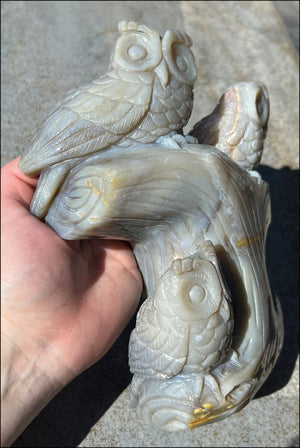 HUGE 7lbs+ Dendritic Agate OWL Family Carving with Moss Agate inclusions