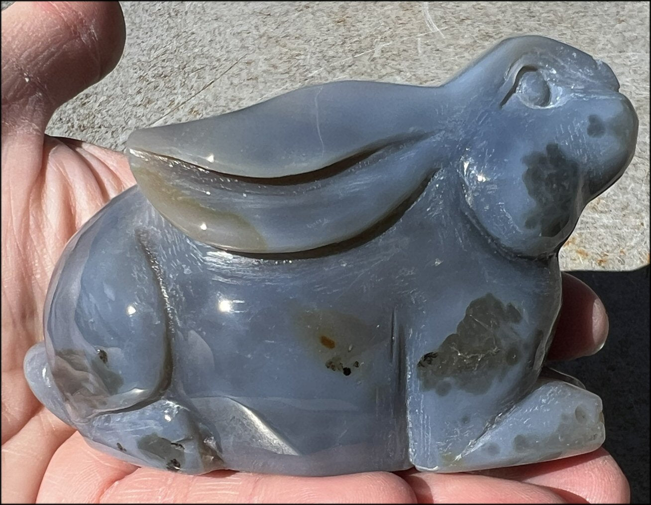 4" Dendritic Agate BUNNY RABBIT Totem with Awesome Druzy Lined VUG