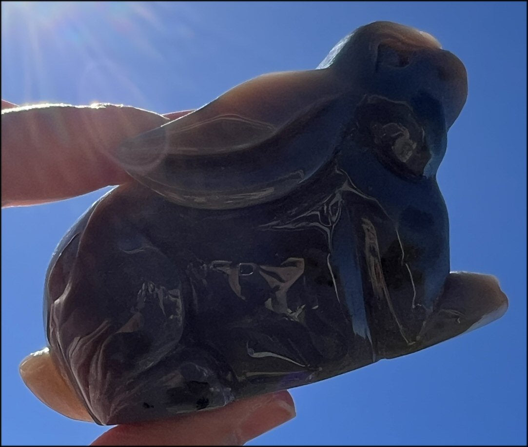 4" Dendritic Agate BUNNY RABBIT Totem with Awesome Druzy Lined VUG