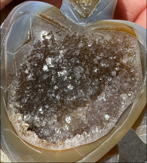 Agate Geode Crystal SEA TURTLE / HONU Totem with Fantastic Druzy lined VUG