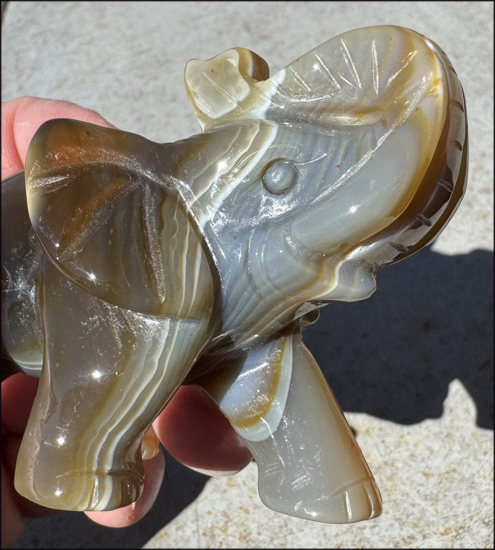 Lg. Banded Agate LUCKY ELEPHANT Totem - Strength, Ancient Wisdom