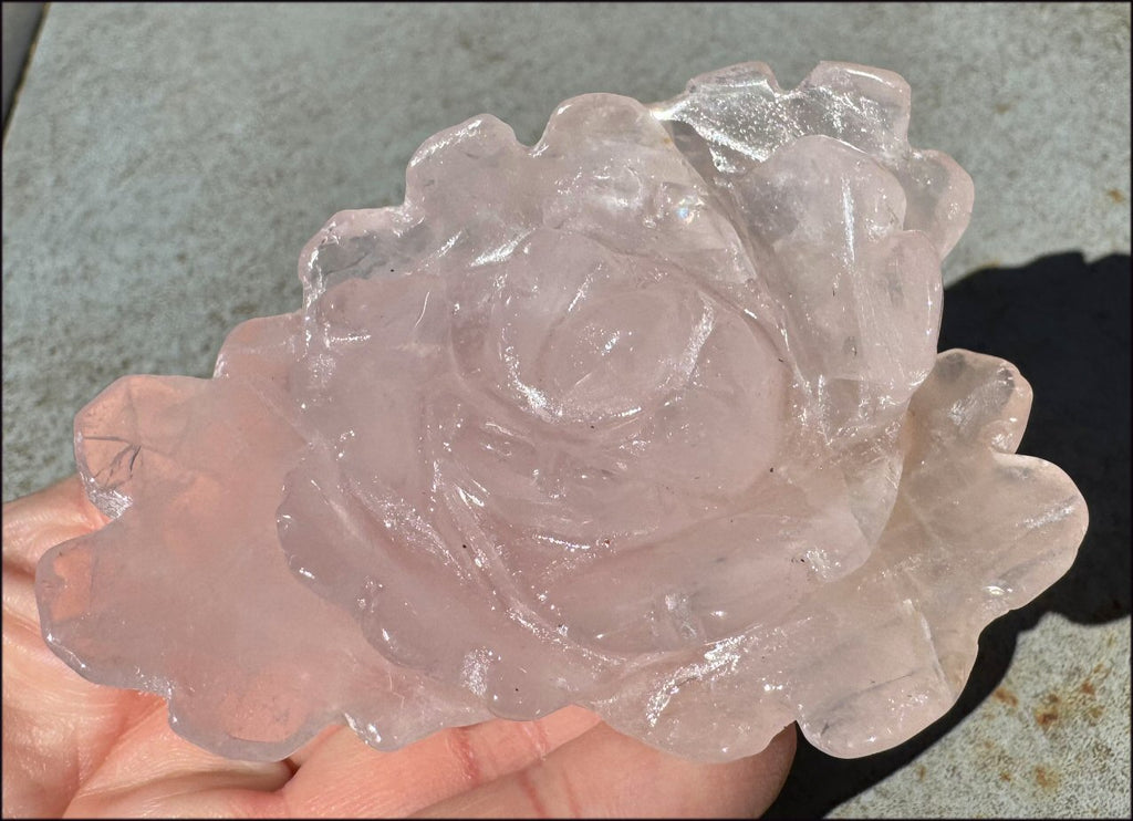Carved Rose Quartz Crystal ROSE Blossom with Hematite - Stone of Love