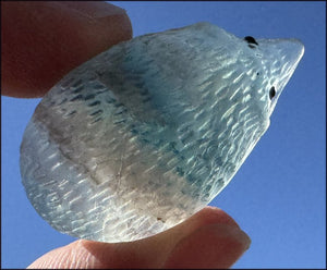 Adorable Fluorite HEDGEHOG Totem - Curiosity, Protection, Discernment!