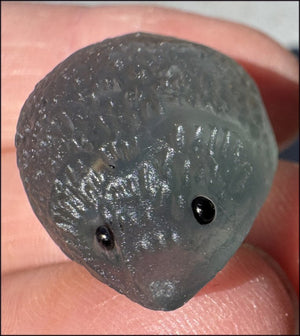 Adorable Fluorite HEDGEHOG Totem - Curiosity, Protection, Discernment!