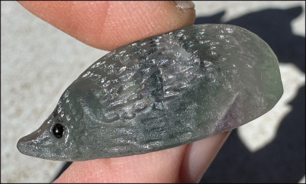 Adorable Fluorite HEDGEHOG Totem - Curiosity, Protection, Discernment!