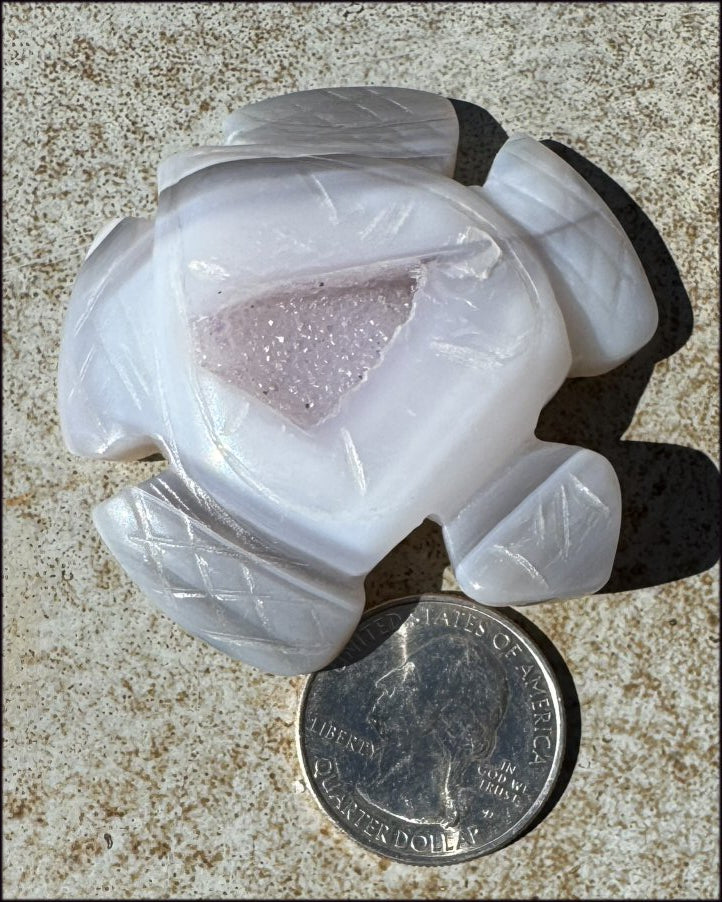 Agate Geode Crystal SEA TURTLE / HONU Totem with Fantastic Druzy lined VUG Shell