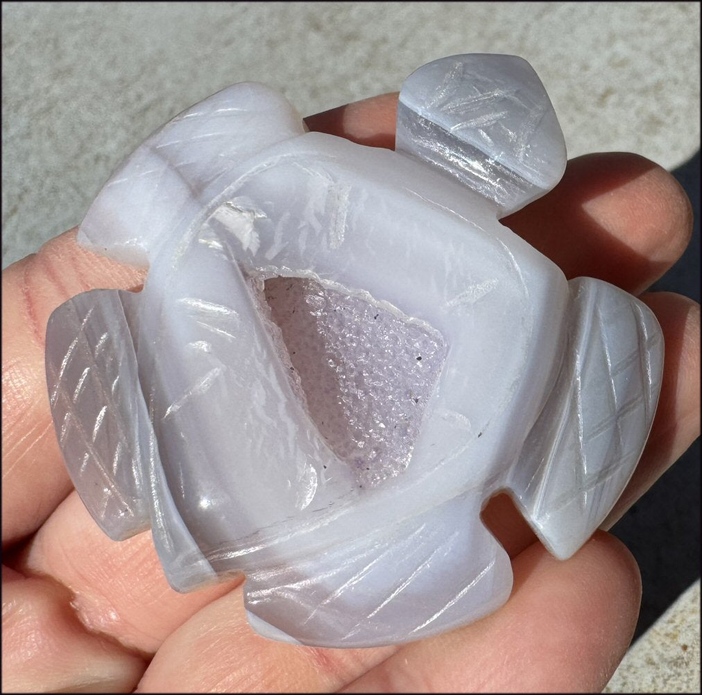 Agate Geode Crystal SEA TURTLE / HONU Totem with Fantastic Druzy lined VUG Shell