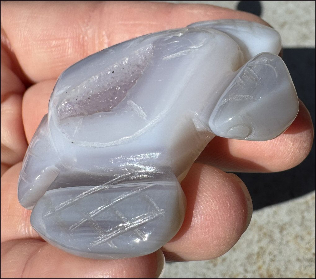 Agate Geode Crystal SEA TURTLE / HONU Totem with Fantastic Druzy lined VUG Shell