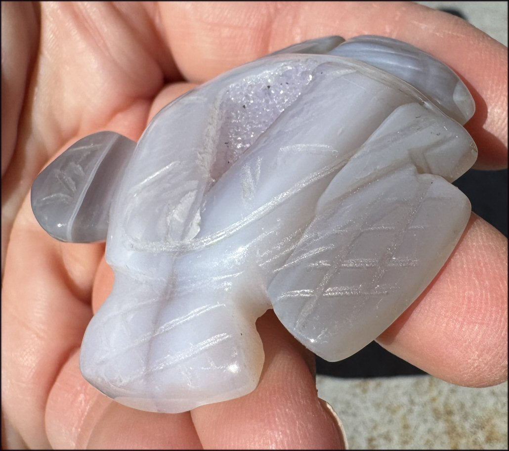 Agate Geode Crystal SEA TURTLE / HONU Totem with Fantastic Druzy lined VUG Shell