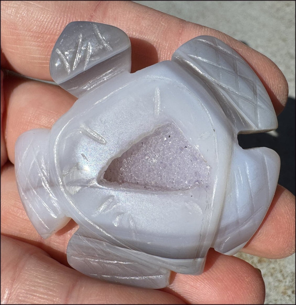 Agate Geode Crystal SEA TURTLE / HONU Totem with Fantastic Druzy lined VUG Shell