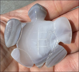 Agate Geode Crystal SEA TURTLE / HONU Totem with Fantastic Druzy lined VUG Shell