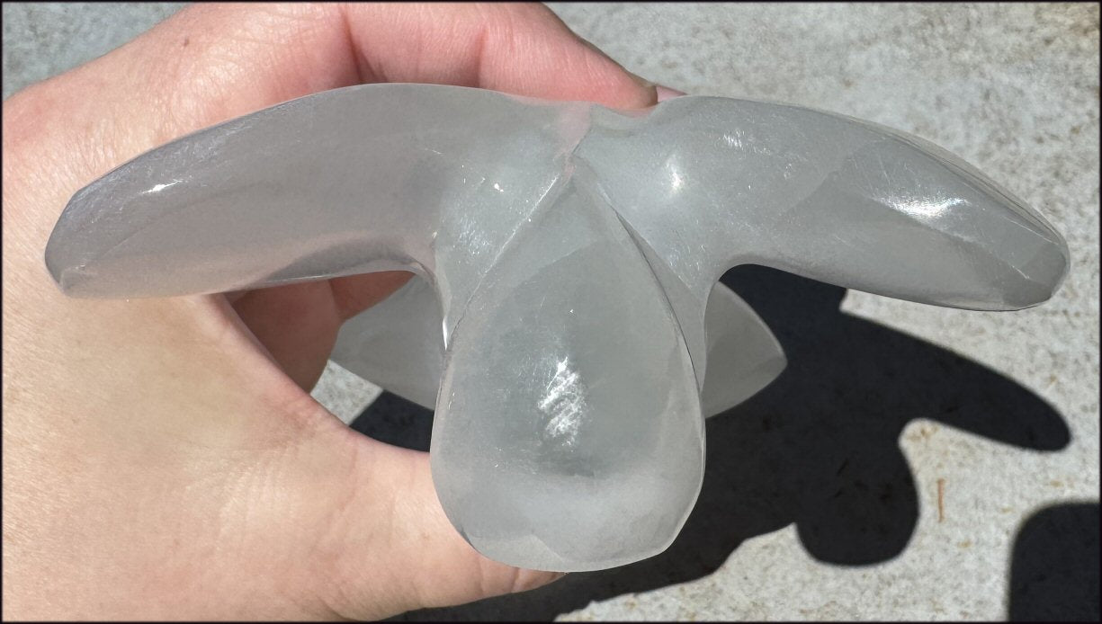 6" XXL White Satin Spar Selenite Praying ANGEL - Clarity, Calm - 1lb+