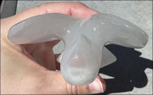 4.25" XL White Satin Spar Selenite Praying ANGEL - Clarity, Calm - 1 /2lb+